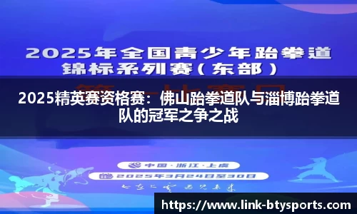 2025精英赛资格赛：佛山跆拳道队与淄博跆拳道队的冠军之争之战